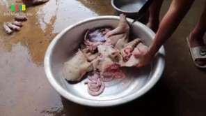 Mổ lợn bản nuôi 5 năm (phần 3)