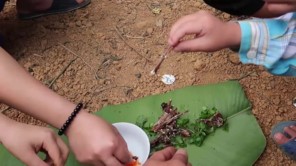 Lên Tây Bắc ăn thịt cóc tía (phần 6)