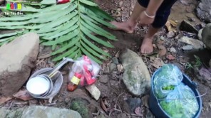 Làm nồi lẩu côn trùng siêu ngon giữa rừng (phần 4)