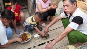 Lấy mật ong ban ngày (Phần 6)