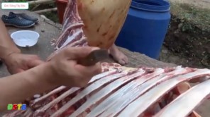 Lên Tây Bắc xem lọc thịt bò không sót thịt (Phần 2)