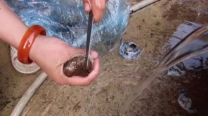 Lên Tây Bắc ăn thịt cóc tía (phần 2)