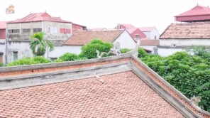 Những bí mật dần hé lộ về xuất thân của Lão Tử là người Việt tại đình cổ Thổ Hà (phần 9)