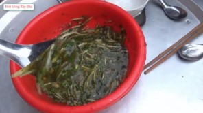 Đánh tiết canh bằng lá cây siêu độc lạ (Phần 4)