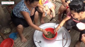 Đánh tiết canh bằng lá cây siêu độc lạ (Phần 5)