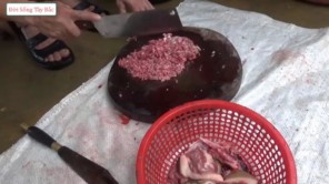 Lên Tây Bắc ăn tiết canh lợn núi (Phần 1)