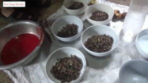 Lên Tây Bắc ăn tiết canh lợn núi (Phần 2)