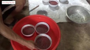 Lên Tây Bắc ăn tiết canh lợn núi (Phần 3)
