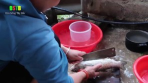 Cá thối gói lá chuối vùi than thơm nức mũi (Phần 1)
