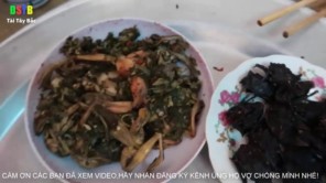 Lên Tây Bắc ăn thịt nhái (Phần 3)