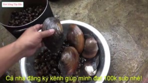 Gỏi ốc bươu vàng với nước cốt măng chua thần thánh (Phần 1)