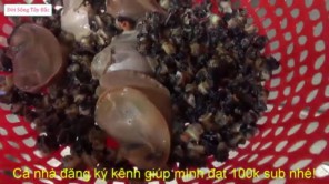 Gỏi ốc bươu vàng với nước cốt măng chua thần thánh (Phần 2)