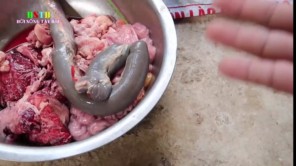 Dồi pịa bò gác bếp món ăn độc lạ (Phần 1)