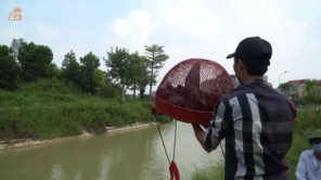 Độc đáo hội chim bồ câu đưa thư 700 năm chỉ có ở Kinh Bắc 4