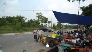 Độc đáo hội chim bồ câu đưa thư 700 năm chỉ có ở Kinh Bắc 11