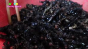 Mang sâu rừng sang nhà hàng xóm nấu cơm (Phần 1)
