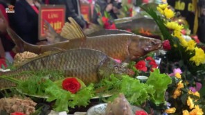 Hội thi cỗ cá đặc biệt nhất trời Nam chỉ có ở đền Trần Thái Bình (Phần 3)