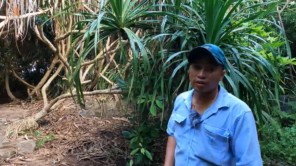 Khám phá hầm chống bom nguyên tử ở đảo Cát Bà Tham quan trận địa Pháo Thần Công 5
