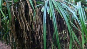 Khám phá hầm chống bom nguyên tử ở đảo Cát Bà (Phần 7)