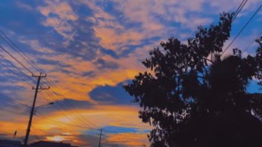 Video 4K - Chiều hoàng hôn Đồng Tháp
