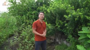 Hành trình tìm Mộ công Chúa Mỵ Châu - những bí ẩn khó giải thích giữa truyền thuyết và hiện thực (Phần 1)