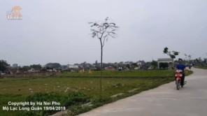 Người Việt không phải ai cũng biết Mộ quốc tổ Lạc Long Quân có thật (phần 1)