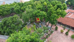 Bà Tấm - Nguyên Phi Ỷ Lan nơi rất tố linh tố hảo của nữ nhân kiệt xuất vương triều Lý (phần 5)
