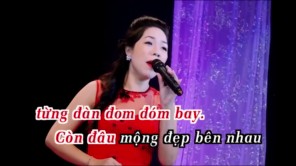 Karaoke ĐOM ĐÓM ƠI | Vy Thúy Hằng