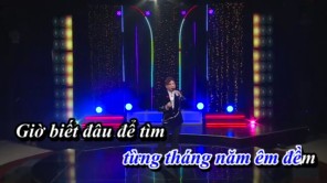 LIÊN KHÚC LÀM CHA NỖI NHỚ CHA - TRỌNG HẢI - KARAOKE