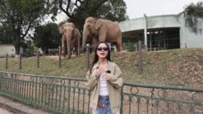 Hành trình khám phá vườn bách thú đầy ắp tiếng cười