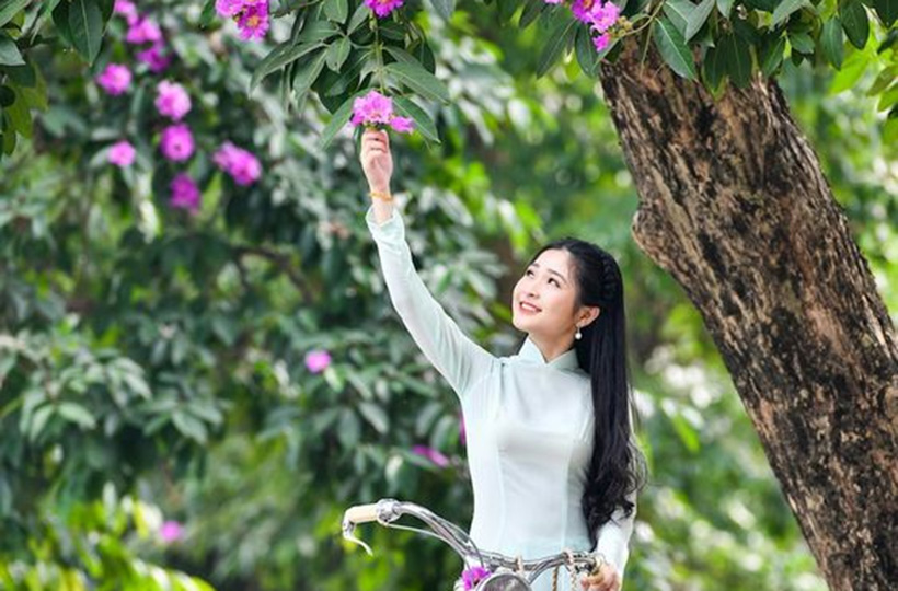 Thiếu nữ khoe sắc cùng hoa bằng lăng