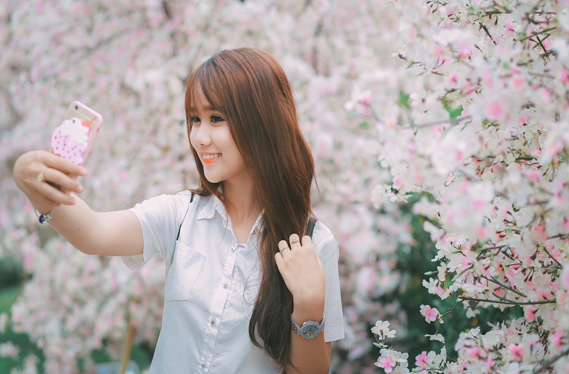 Cô gái chụp ảnh tự sướng trong vườn hoa anh đào