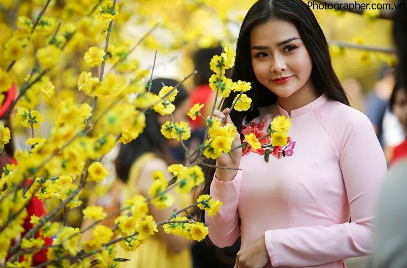 Girl xinh tỏa sáng bên hoa mai ngày tết 