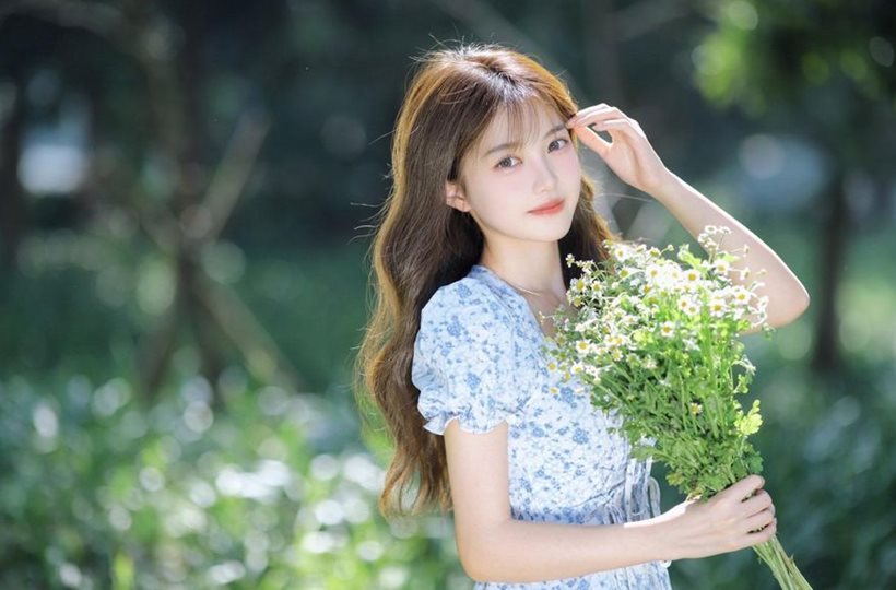 Cúc Họa Mi