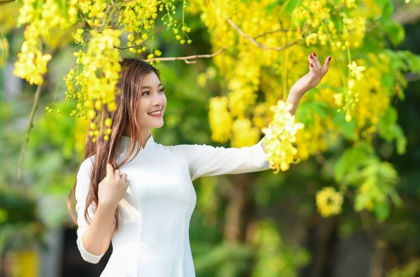 Cô gái ngẩn ngơ ngắm hoa muồng hoàng yến nở vàng rực